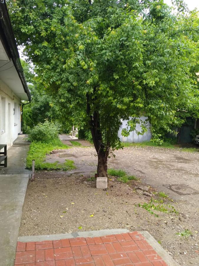 Garsoniera In Centru Leilighet Cluj-Napoca Eksteriør bilde